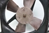 Imagem de Termoventiladores Opel Corsa B de 1997 a 2001 | GM 090531017