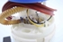 Bild von Kraftstoffpumpe Volkswagen Eos aus 2006 zu 2010 | VDO
A2C53108564
1K0919051AQ