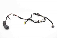 Imagen de Instalación eléctrica puerta delantera izquierda Kia Rio de 2011 a 2015 | 91600-1W310