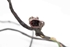 Picture of Instalação eléctrica porta frente esquerda Peugeot 206 Xa (Van) de 2000 a 2003 | 9645164080