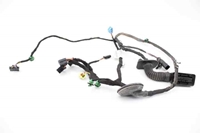 Imagen de Instalación eléctrica puerta delantera izquierda Seat Leon ST de 2012 a 2017 | 5F4971029AH