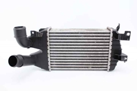 Immagine di Radiatore aria di alimentazione / Intercooler Opel Zafira B de 2005 a 2007 | GM 13213402