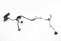 Picture of Rear Door Loom / Harness - Right Volkswagen Passat Sedan from 2011 to 2015 | 3AA971694DG