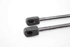 Bild von Motorhaubendämpfer (Paar) Bmw Serie-1 (F20) aus 2012 zu 2015 | 5123 7239233-05