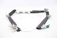 Immagine di Airbag tendina anteriore destro Alfa Romeo Giulietta da 2010 a 2016 | TRW
34056826F
505268190