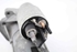 Bild von Anlasser Renault Megane III Fase II aus 2012 zu 2014 | VALEO 29K20629BT
233003329R
