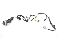 Imagen de Instalación eléctrica puerta delantera izquierda Citroen C3 de 2009 a 2013 | 9689002480