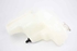 Picture of Radiator Expansion Coolant Tank Mitsubishi ASX from 2010 to 2012
