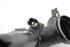 Picture of Tubo de ar do turbo Peugeot 308 de 2011 a 2013 | 9684362180
9673593680