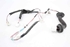 Picture of Rear Door Loom / Harness - Left Toyota Yaris from 2009 to 2011 | 62153-0D140