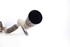 Picture of DPF - Diesel Particulate Filter Audi A3 Sportback from 2008 to 2012 | 1K0131723AB - 5N0166BB - 1K0181GA