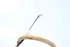 Picture of Door Lock - Rear Right Fiat Bravo from 2007 to 2015 | 51827959