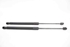 Picture of Tailgate Lifters (Pair) Volkswagen Passat Variant from 2011 to 2015 | 3AF827550B