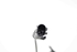 Bild von ABS Sensor vorne rechts Fiat Punto Evo aus 2009 zu 2012 | 265007671 - BOSCH