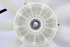 Picture of Fan Toyota Avensis Sedan from 2009 to 2011 | DENSO
16369-0R030
168000-8460