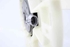 Picture of Termoventiladores Toyota Yaris de 2005 a 2009 | DENSO