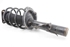 Picture of Suspensão / amortecedor e mola frente esquerdo Ford Focus de 2008 a 2011 | 4M51-18K001-ABE