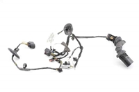 Immagine di Impianto elettrico porta anteriore sinistra Ford Kuga da 2008 a 2010 | 8V4T-14A584 AAD