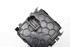 Imagen de Mando de regulacion faros Renault Grand Scenic III Fase III de 2013 a 2016 | 251900567R