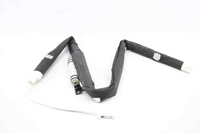 Picture of Airbag de cortina frente esquerdo Renault Grand Scenic III Fase III de 2013 a 2016 | AUTOLIV
985P10681R