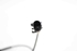 Picture of Captor / sensor de abs frente direito Alfa Romeo Giulietta de 2010 a 2016 | ATE 10.0711-5254.3
51826112