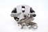 Bild von Bremssattel / Bremszange hinten links Renault Megane III Fase I aus 2008 zu 2012 | TRW