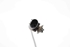 Bild von ABS Sensor vorne rechts Opel Corsa D Sport Van aus 2007 zu 2010 | BOSCH 0265008089