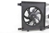 Immagine di Termoventilatore Opel Corsa C da 2000 a 2003 | 24445148