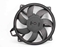 Image sur Ventilateur refroidissement du moteur Renault Scenic III Fase I de 2009 à 2011 | 214810898R - M15547B - 214810898R - VALEO