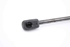 Picture of Amortecedor de capot Renault Scenic III Fase I de 2009 a 2011 | 