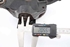 Bild von Achsschenkel vorne rechts Renault Scenic III Fase I aus 2009 zu 2011 | 