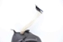 Bild von Behälter Scheibenwaschanlage / Wischwasserbehälter Peugeot 307 Cc aus 2003 zu 2005 | 9650452380
