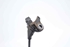 Imagen de Captador / sensor abs delantero derecho Peugeot 307 Cc de 2003 a 2005 | 9644966780