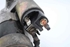 Bild von Anlasser Peugeot 307 Cc aus 2003 zu 2005 | MITSUBISHI M000T82081