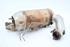 Picture of DPF - Diesel Particulate Filter Mercedes Citan Tourer (W415) from 2012 to 2021 | 208A00506R
H8201431468