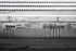 Bild von Ladeluftkühler Ford B-Max aus 2012 zu 2017 | VALEO M153643A
FOMOCO C1B1-9L440-AB