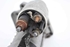 Bild von Anlasser Renault Megane III Break aus 2008 zu 2012 | VALEO
233003329R