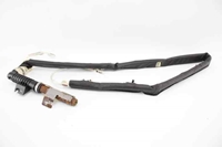 Picture of Airbag de cortina frente esquerdo Renault Scenic II Fase I de 2003 a 2006 | 8200432641