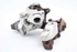 Picture of TurboCharger Seat Ibiza ST from 2010 to 2013 | 03L253016A