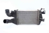 Imagem de Radiador do intercooler Opel Zafira B de 2008 a 2012 | GM 13213402