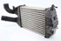 Imagem de Radiador do intercooler Opel Zafira B de 2008 a 2012 | GM 13213402