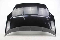 Imagem de Capot Fiat Punto de 2012 a 2018 | 0000051701140 - 
