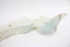 Picture of Windscreen Washer Fluid Tank Ford C-Max from 2007 to 2010 | 3M51-13K163-AC