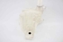 Picture of Windscreen Washer Fluid Tank Chevrolet Aveo from 2011 to 2016 | 95467496