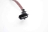 Picture of Sonda lambda Renault Megane III Fase I de 2008 a 2012 | 258010062 - 8200437489 - BOSCH
