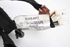 Picture of Instalação eléctrica porta frente esquerda Renault Captur I Fase II de 2017 a 2019 | 241244969R