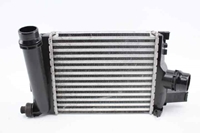 Picture of Intercooler Renault Captur I Fase II from 2017 to 2019 | 144963014R