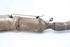 Bild von Partikelfilter Dacia Lodgy aus 2012 zu 2017 | 208025419R