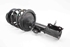 Picture of Suspensão / amortecedor e mola frente esquerdo Hyundai I20 de 2008 a 2012 | 54650-4P100