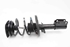 Picture of Suspensão / amortecedor e mola frente esquerdo Renault Megane III Fase II de 2012 a 2014 | 543020008R